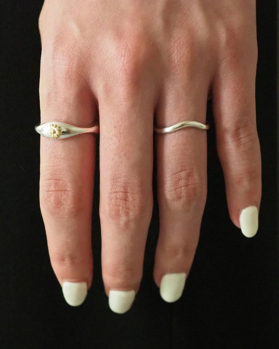 Wv ring