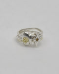 Pre order| Plac ring