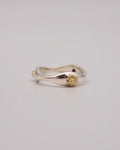 Wv ring
