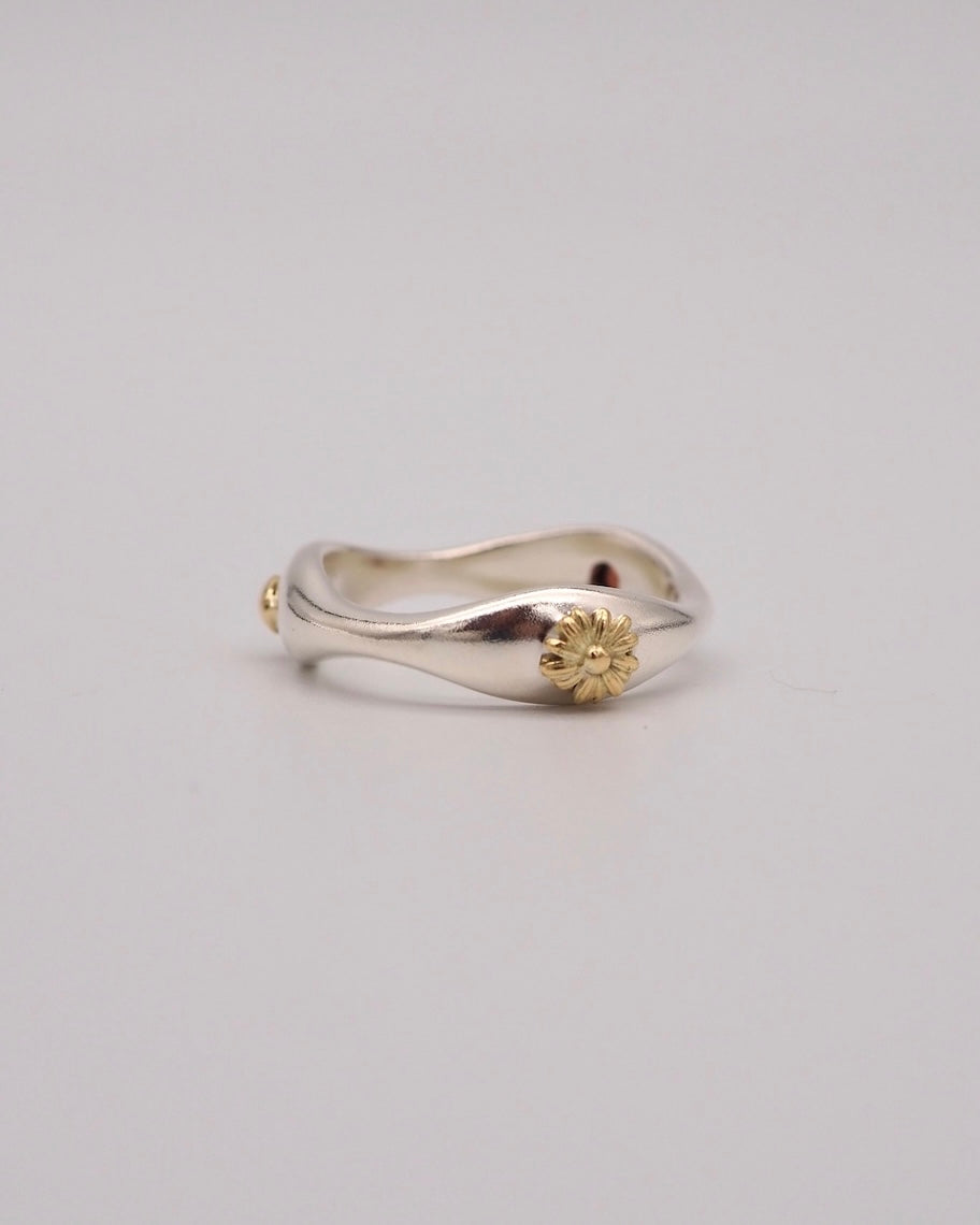 Wv ring