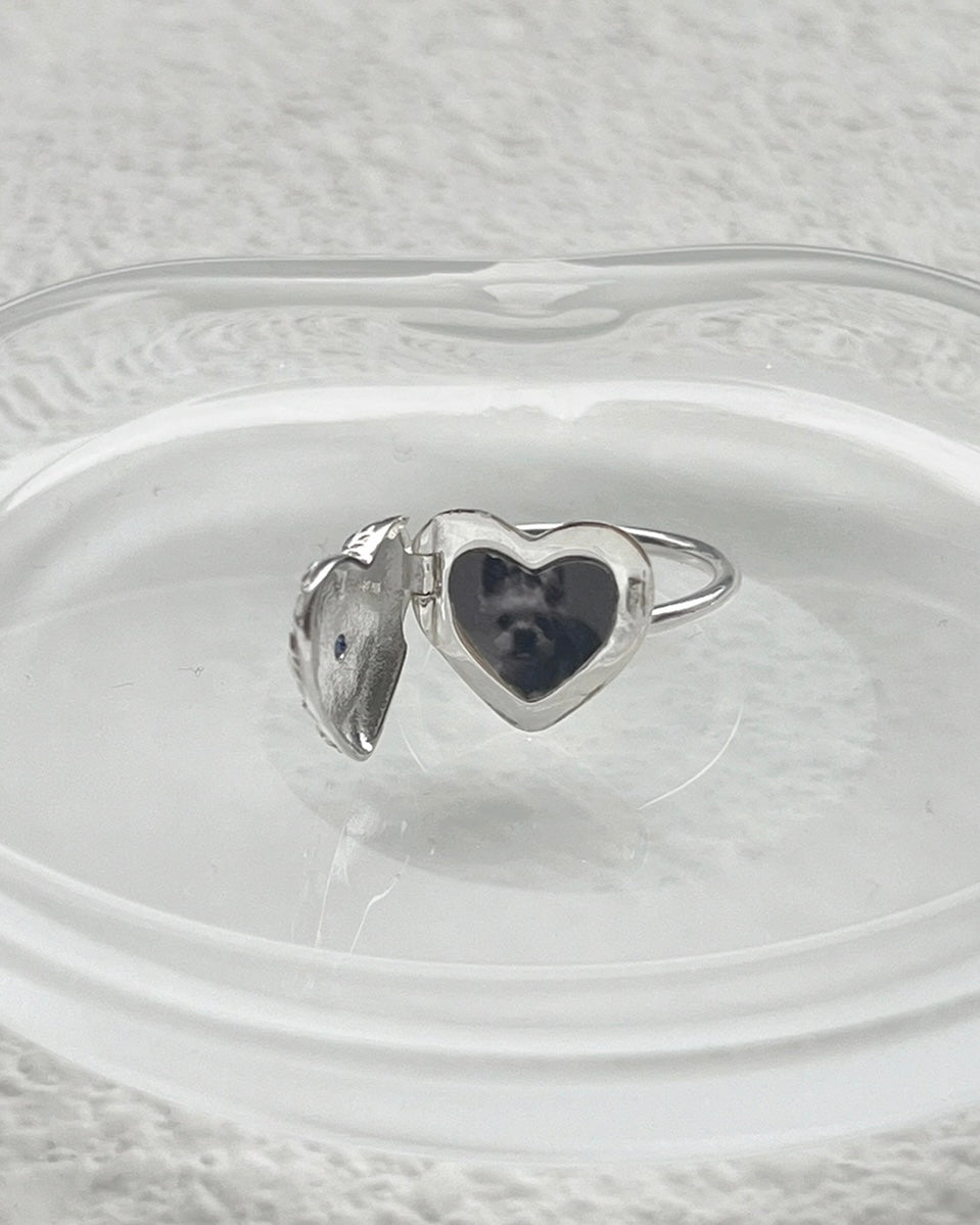 Memory Birthstone silver R