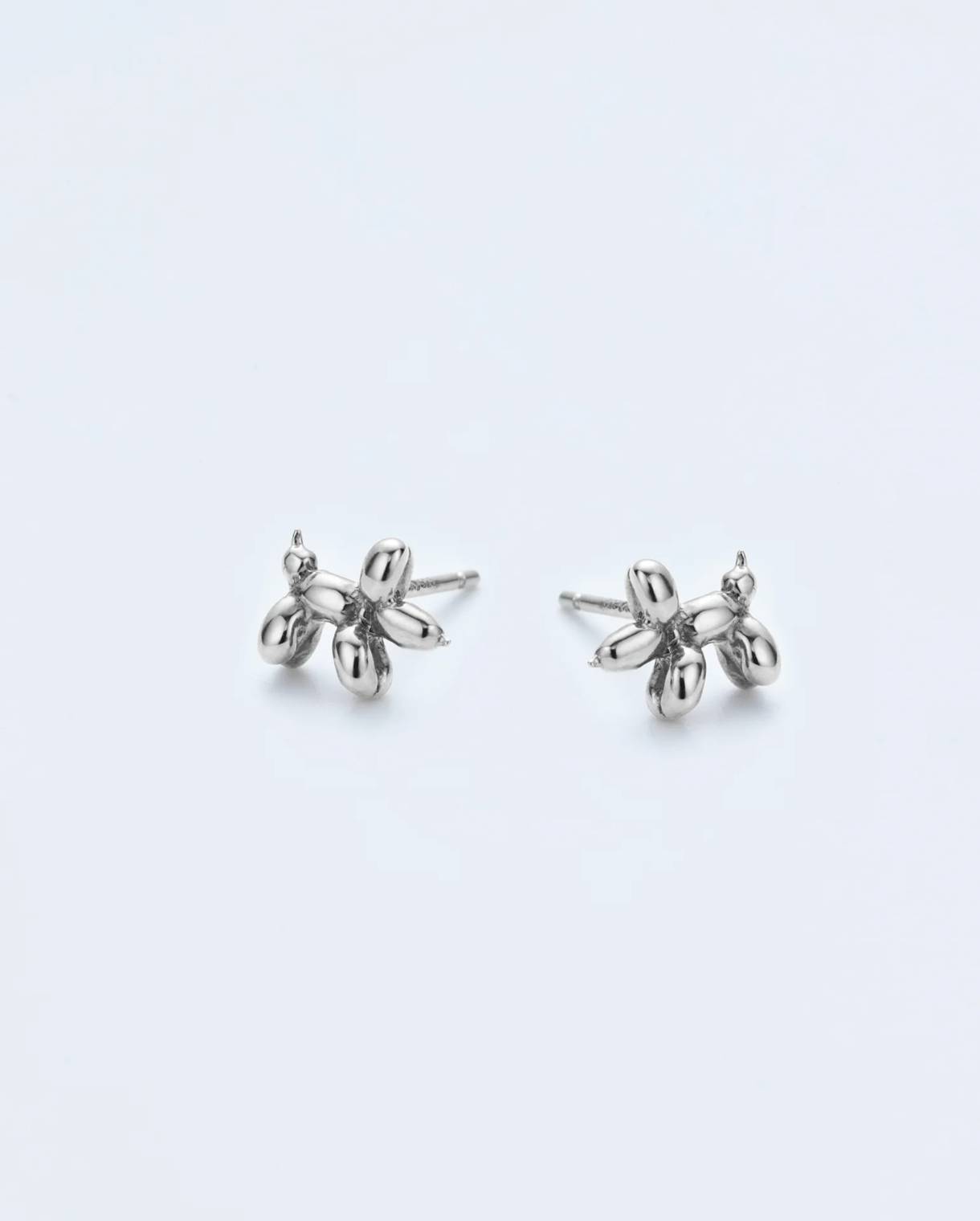 Pierce small dog