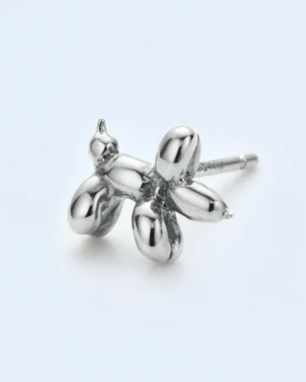 Pierce small dog